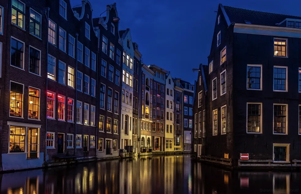 Jaki bus do Holandii wybrać?